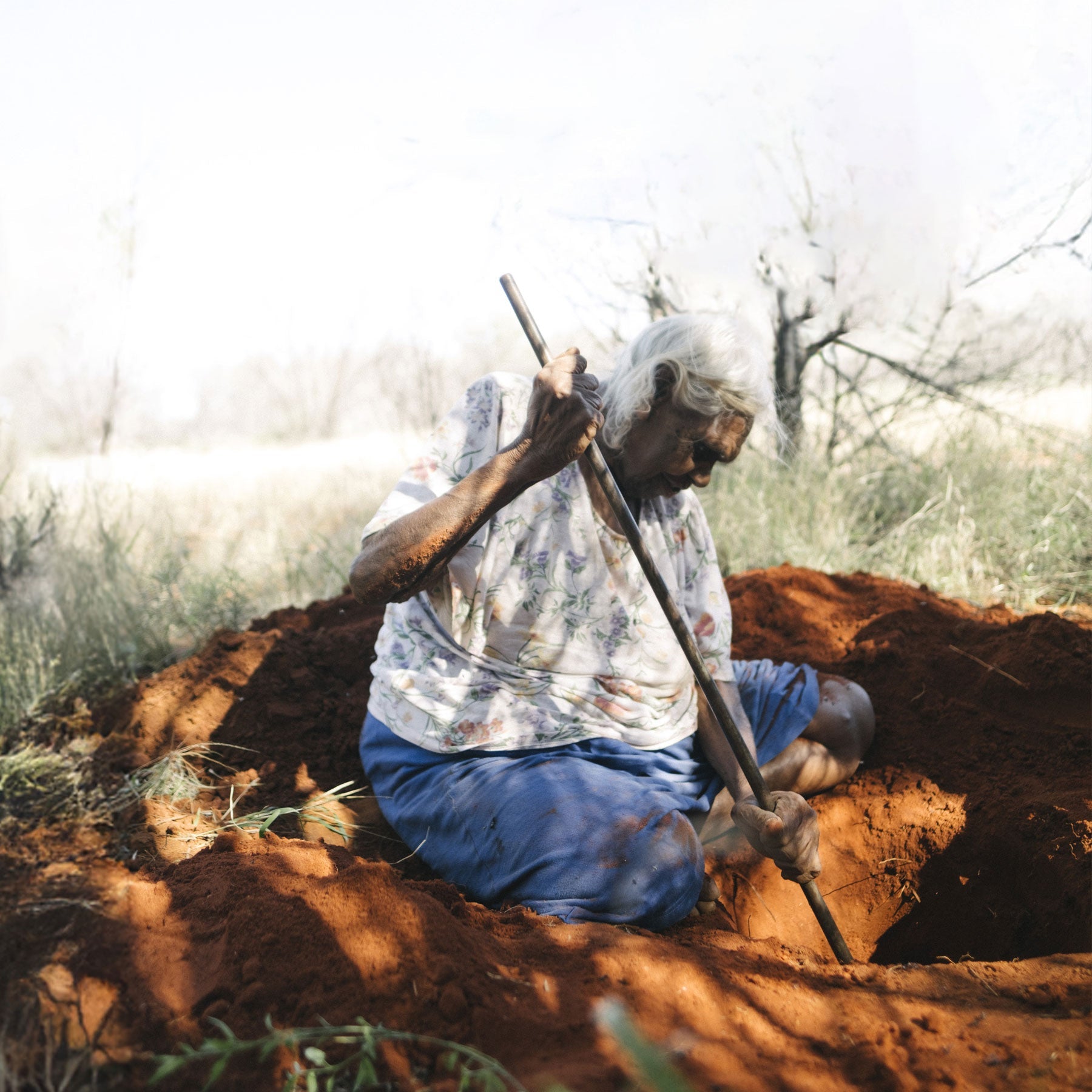 The Information Project: Turning Confusion Into Confidence For People With a Disability