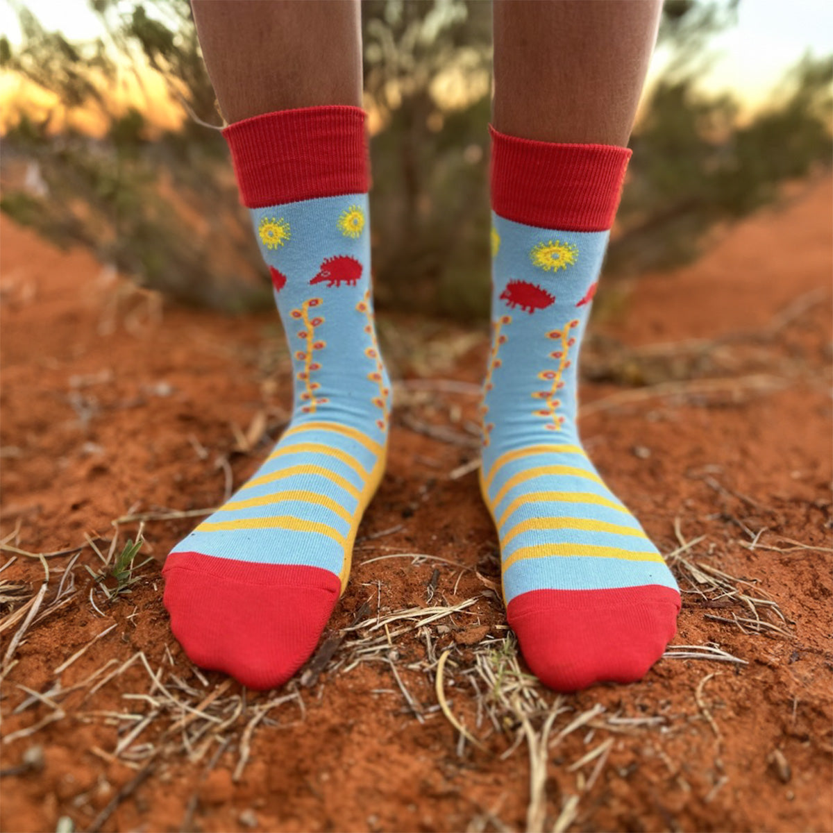 Tjilkamata (Echidna) Socks