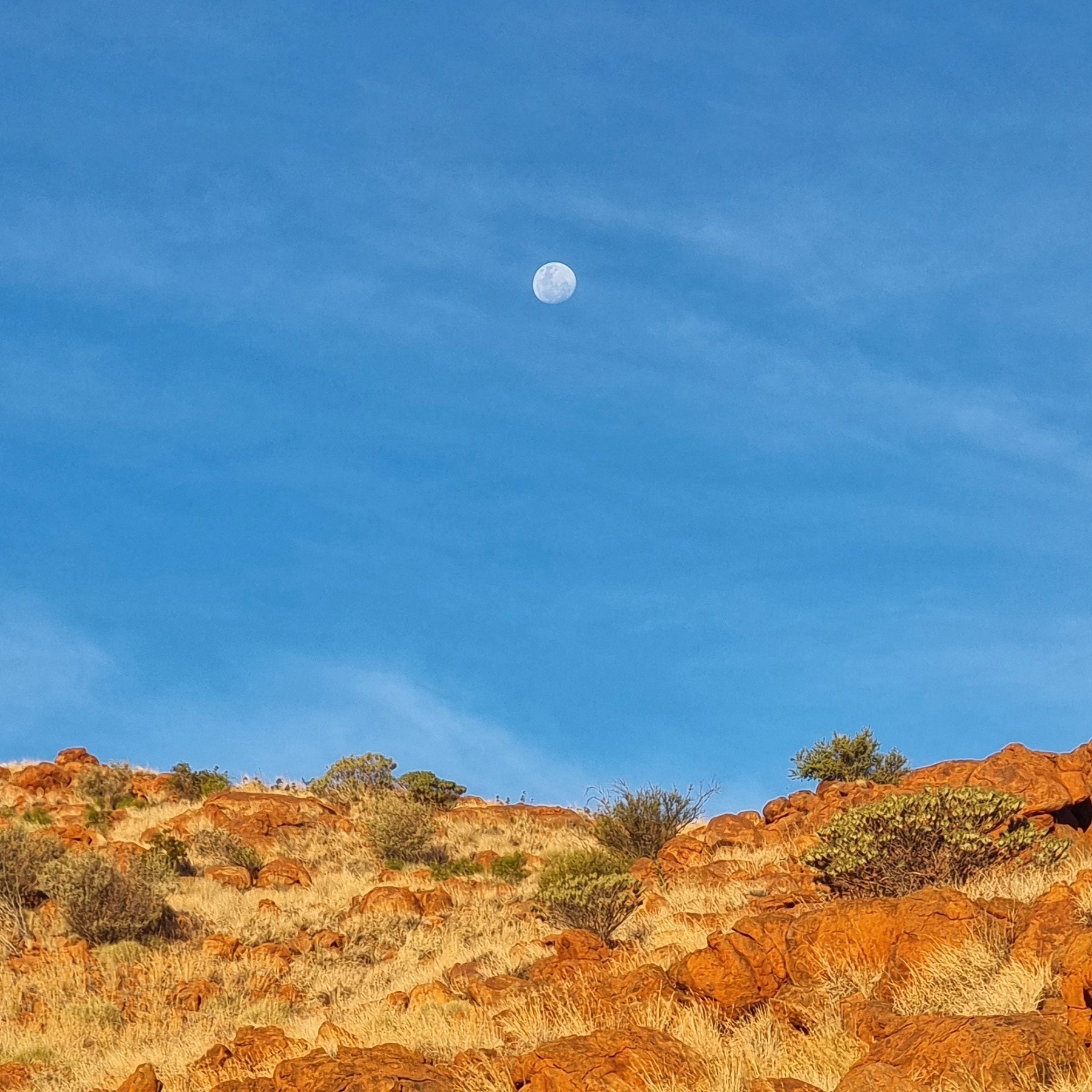 A Powerful Voice to Government For Change