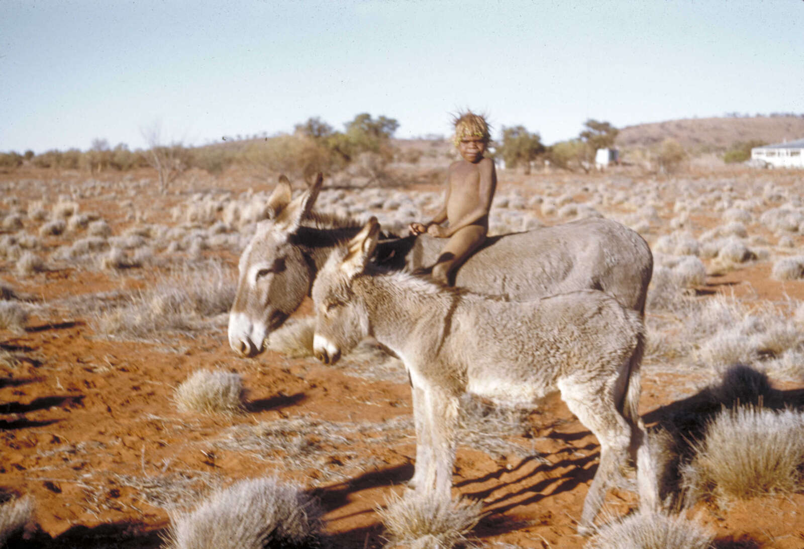 Wanatjura Lewis - Christmas Story