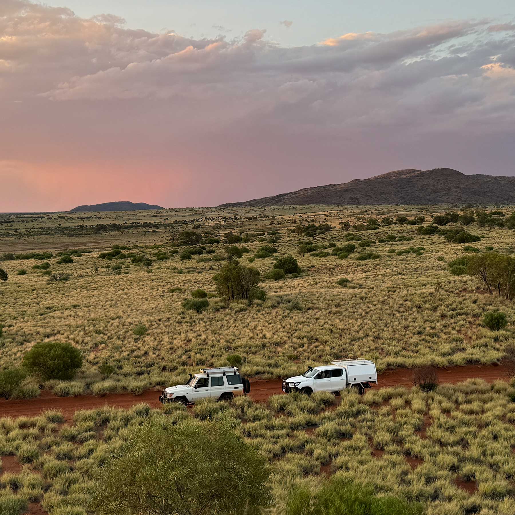 Allied Health Intensives: Putting Families at the Heart of Disability Support