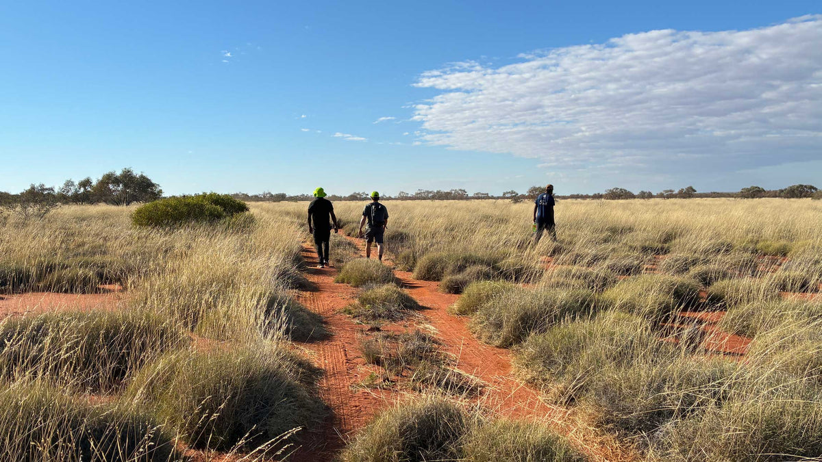 Tjina Ankunytjaku: Footsteps That Carry Knowledge Forward