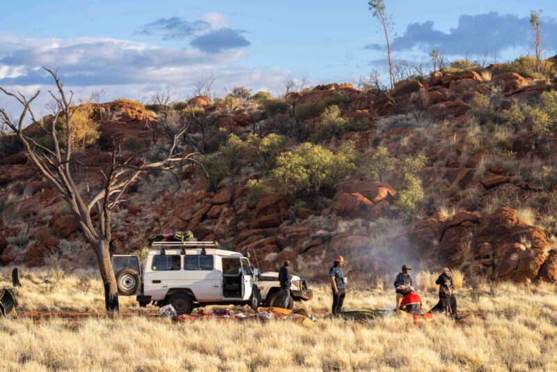 Group from Imanpa, NT, Watiku Tjina Ankunytjaku (Men’s Walk), August 2025, Photo by Rhett Hammerton, ©NPYWC
