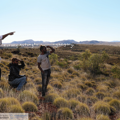 Aboriginal Indigenous NPY